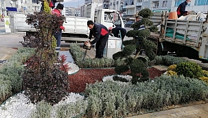 Gürsu'da caddelere yeşil dokunuş 