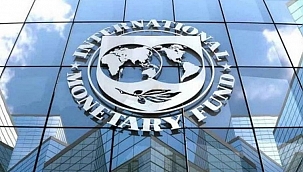 IMF, Türkiye için büyüme bekliyor 
