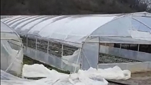 İnegöl'de fırtına seraları yıktı 