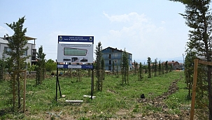 İnegöl yeşilleniyor