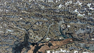 Karacabey longoz ormanları buz tuttu 