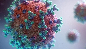 Kolombiya'da mutasyonlu virüs görüldü 