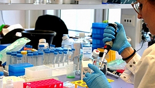 Koronavirürüsü baskılayan madde tespit edildi 