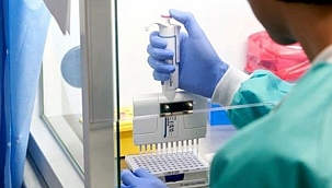 Koronavirüs testlerinde bile dolandırıcılık yapmışlar! 