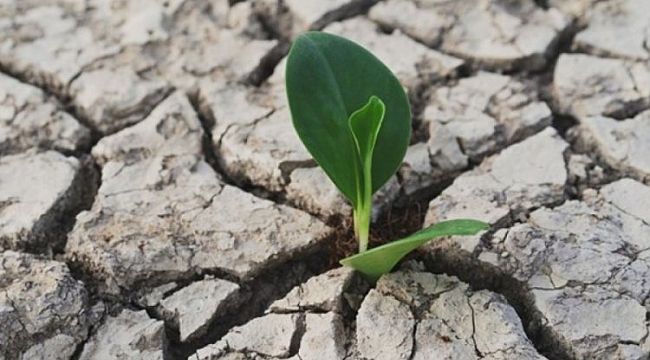 Meteoroloji'den 2020 için kuraklık raporu
