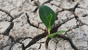 Meteoroloji'den 2020 için kuraklık raporu 