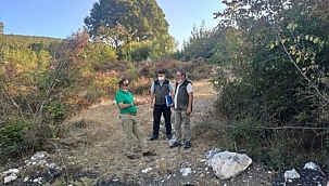 Mustafakemalpaşa'da üreticiye defne desteği