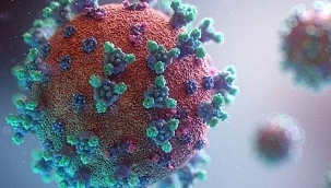 Mutasyonları tespit eden test sistemi geliştirildi 