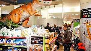 Oyuncak devi ABD'deki son 2 mağazasını kapattı 