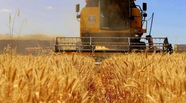 Tarımsal girdi fiyatları Kasım'da aylık yüzde 3.23 arttı