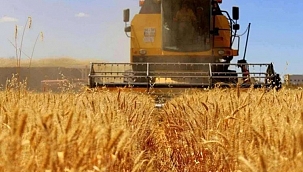 Tarımsal girdi fiyatları Kasım'da aylık yüzde 3.23 arttı 