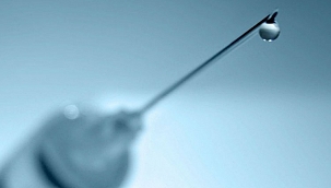 Türkiye'nin aşılama programı, dünyanın gündeminde 