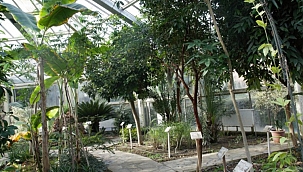 Türkiye'nin ilk 'Tıbbi Bitkiler Bahçesi' 