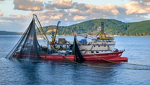 Uzmanlar Boğaz için uyardı 