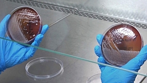 Yıkanan veya kolonya sıkılan maske tehlike saçıyor