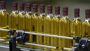 Zeytinyağı ihracatı arttı