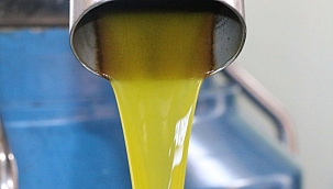 Zeytinyağında hileye dikkat 