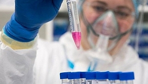 AB, antikor kokteylini değerlendirmeye aldı 