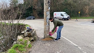 AK gençler, sokak hayvanlarını unutmadı