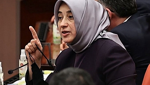 AK Partili Özlem Zengin'e hakarete gözaltı 