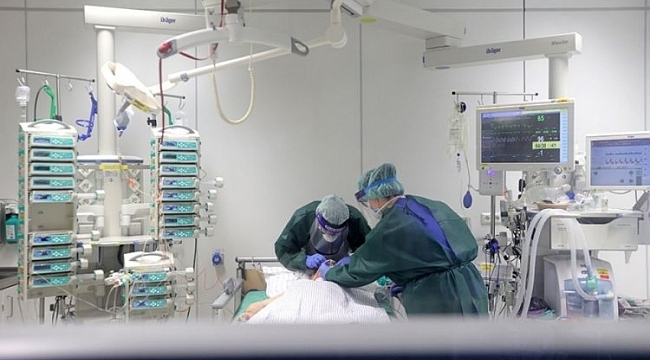 Almanya'da korona virüsten 560 ölüm
