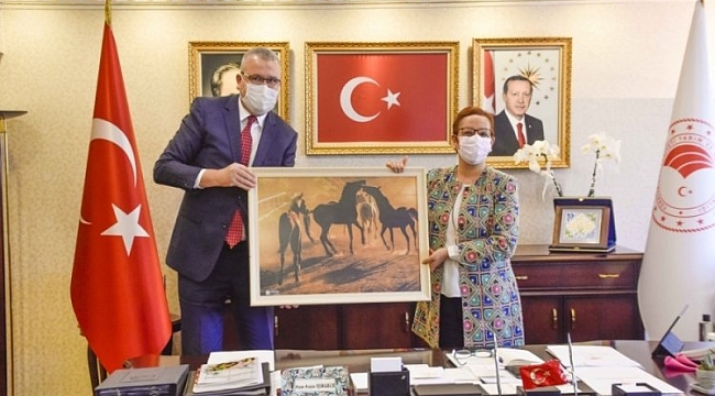 Aromatik bitki yetiştiriciliğine Ankara’dan özel ilgi
