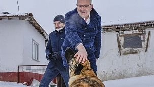 Başkan Özkan'ın hayvan sevgisi