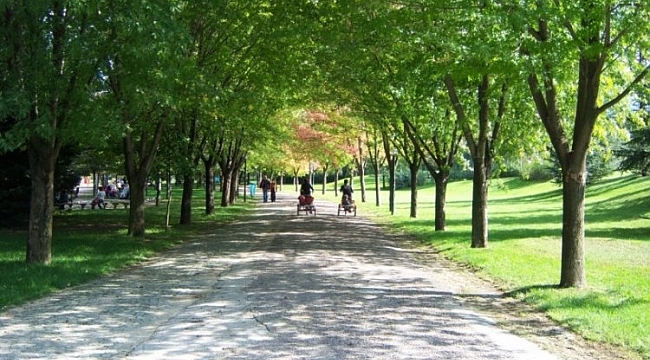 Botanik Park 15 gün daha kapalı