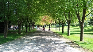 Botanik Park kapatılıyor! 