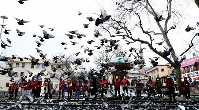 Bursa'da hayvan sevgisine yasak yok