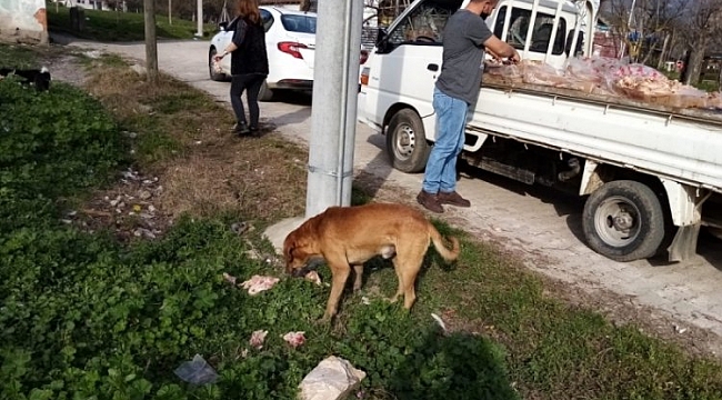 Bursa'da sokak hayvanları unutulmuyor