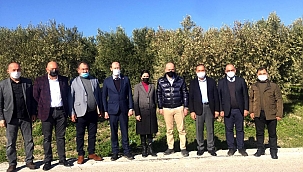 Bursa Milletvekili Işık zeytincileri dinledi 