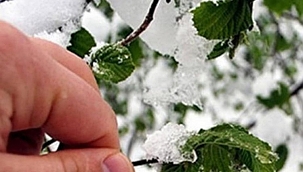 Bursa Valiliği'nden kar ve don uyarısı! 
