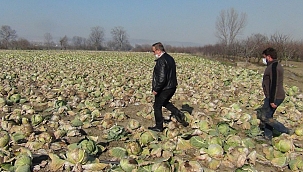 Bursalı çiftçiler fiyat artışlarından şikayetçi