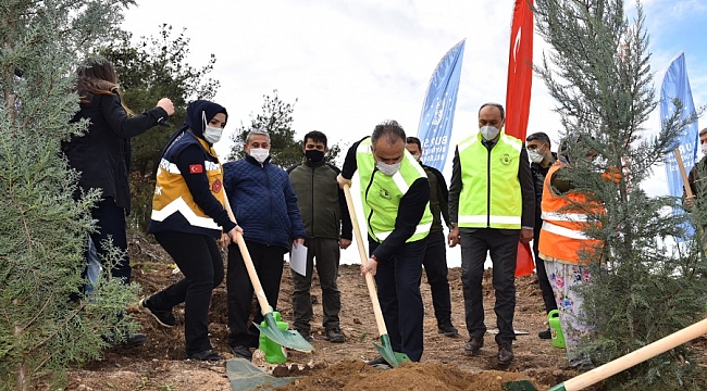 Büyükşehir'den Sağlık Kahramanları Ormanı
