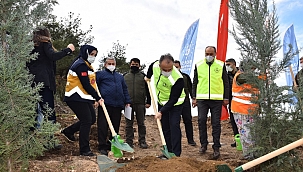 Büyükşehir'den Sağlık Kahramanları Ormanı 