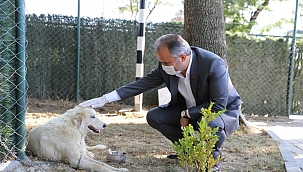Can dostlarına modern rehabilitasyon merkezi