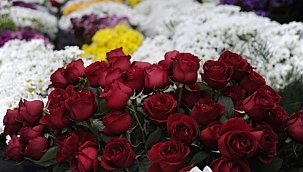 Çiçekçilerde 14 Şubat telaşı 