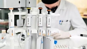 Danimarka'da Güney Afrika mutasyonu görüldü