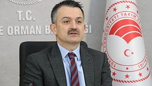 Destek ödemeleri bugün başlıyor