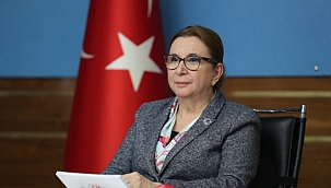 Hizmet ihracına KDV iadesi imkanı geldi 