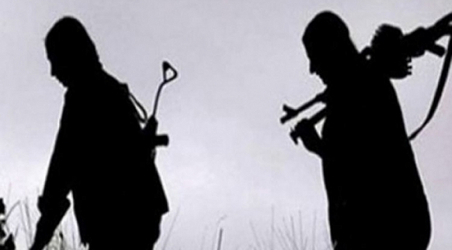 İkna edilen 2 PKK'lı terörist teslim oldu