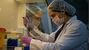 İşte en riskli corona virüs senaryosu 