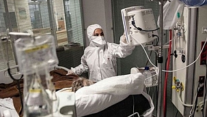 Koronavirüste yeni tehlike 