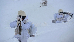 Mehmetçik, terörle mücadelesini sürdürüyor