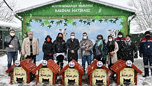 Mustafakemalpaşa kedi evleri ile donatıldı 