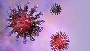 Mutasyonlu virüs hakkında bilinmeyenler