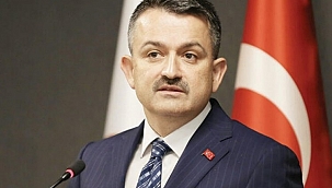 Pakdemirli'den gıda fiyatları açıklaması