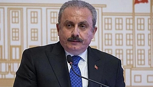 TBMM Başkanı Şentop'tan 'yeni anayasa' açıklaması 