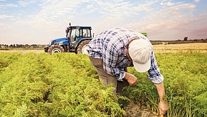 TOBB'dan gıda fiyatlarını düşürecek 5 öneri 